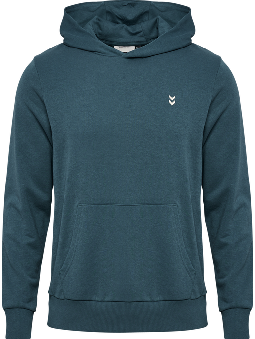 hmlPULSE SWEAT HOODIE, STARGAZER, packshot