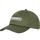 DEEP LICHEN GREEN