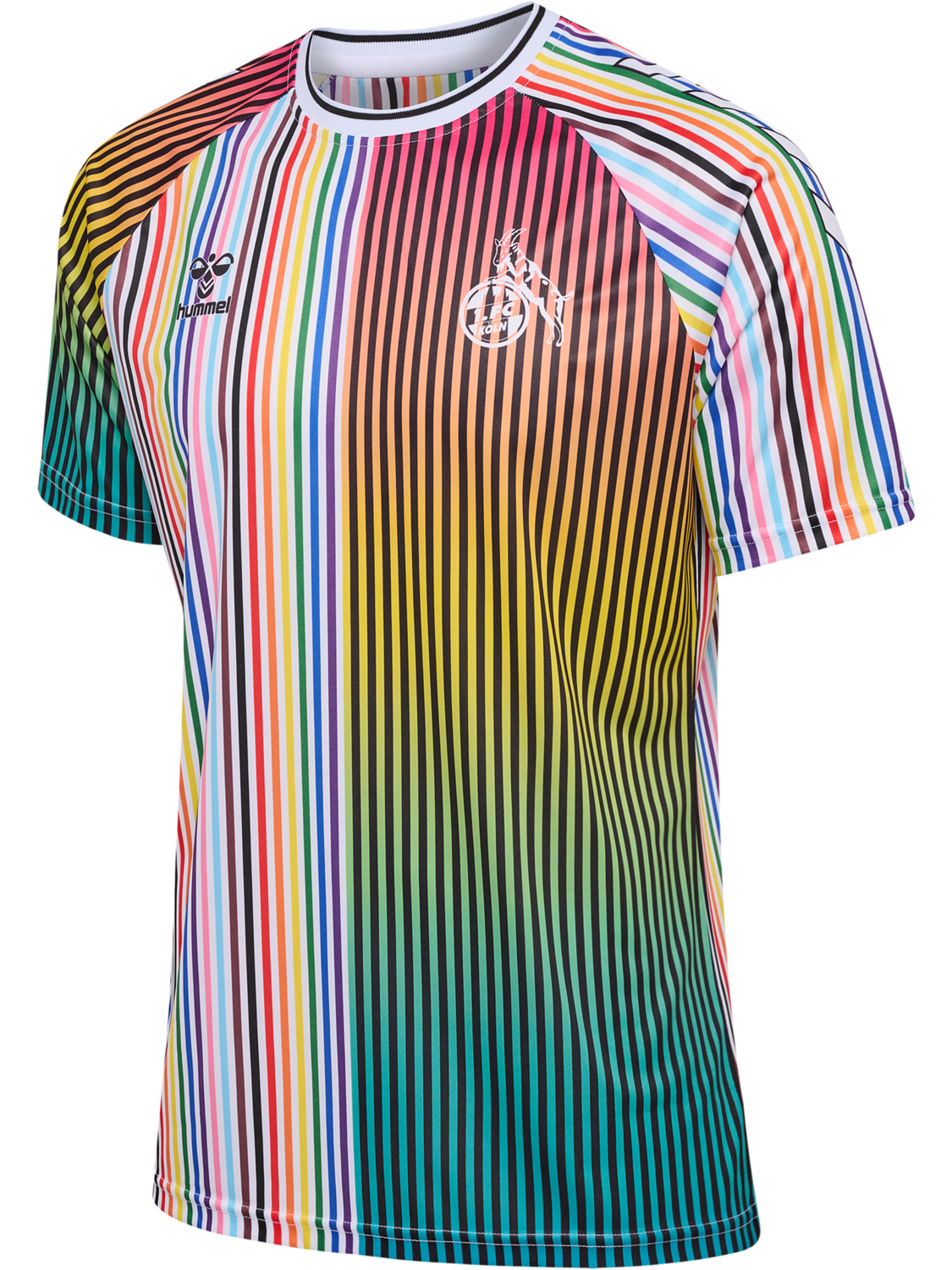 HMLFLAG 23/24 JERSEY S/S, !MULTI COLOR 1FCK, packshot