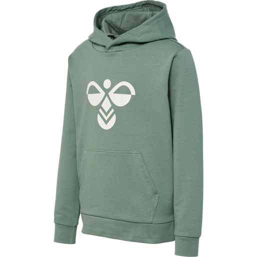hmlCUATRO HOODIE, LAUREL WREATH, packshot