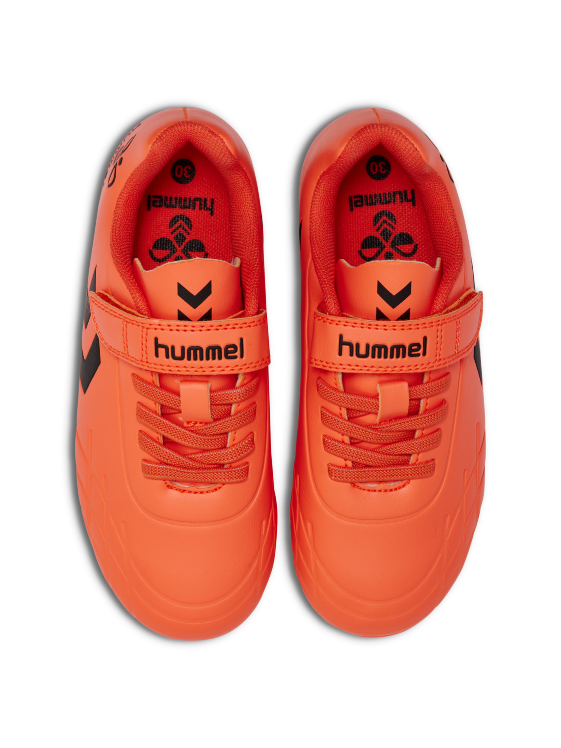 TOP STAR F.G. JR, NASTURTIUM, packshot