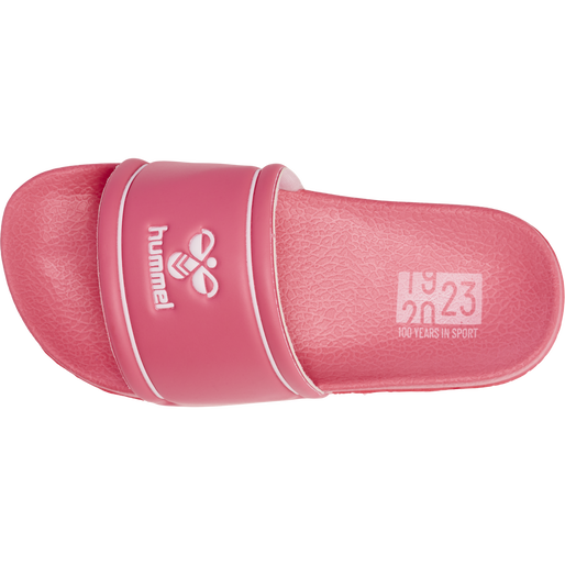 Pink pool top slides