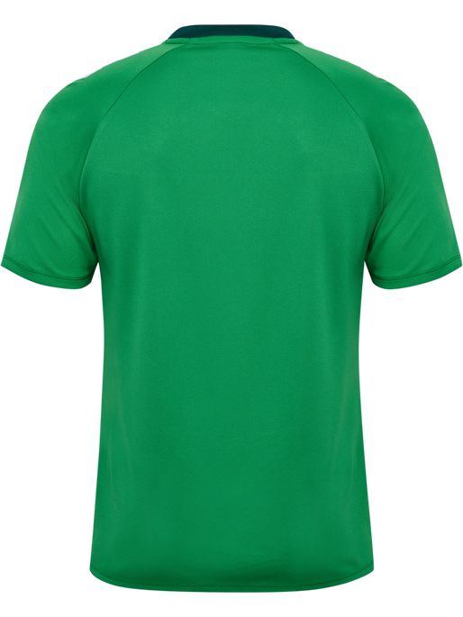 hmlMATCH TRIUMPH JERSEY S/S, JELLY BEAN/BOTANICAL GARDEN, packshot