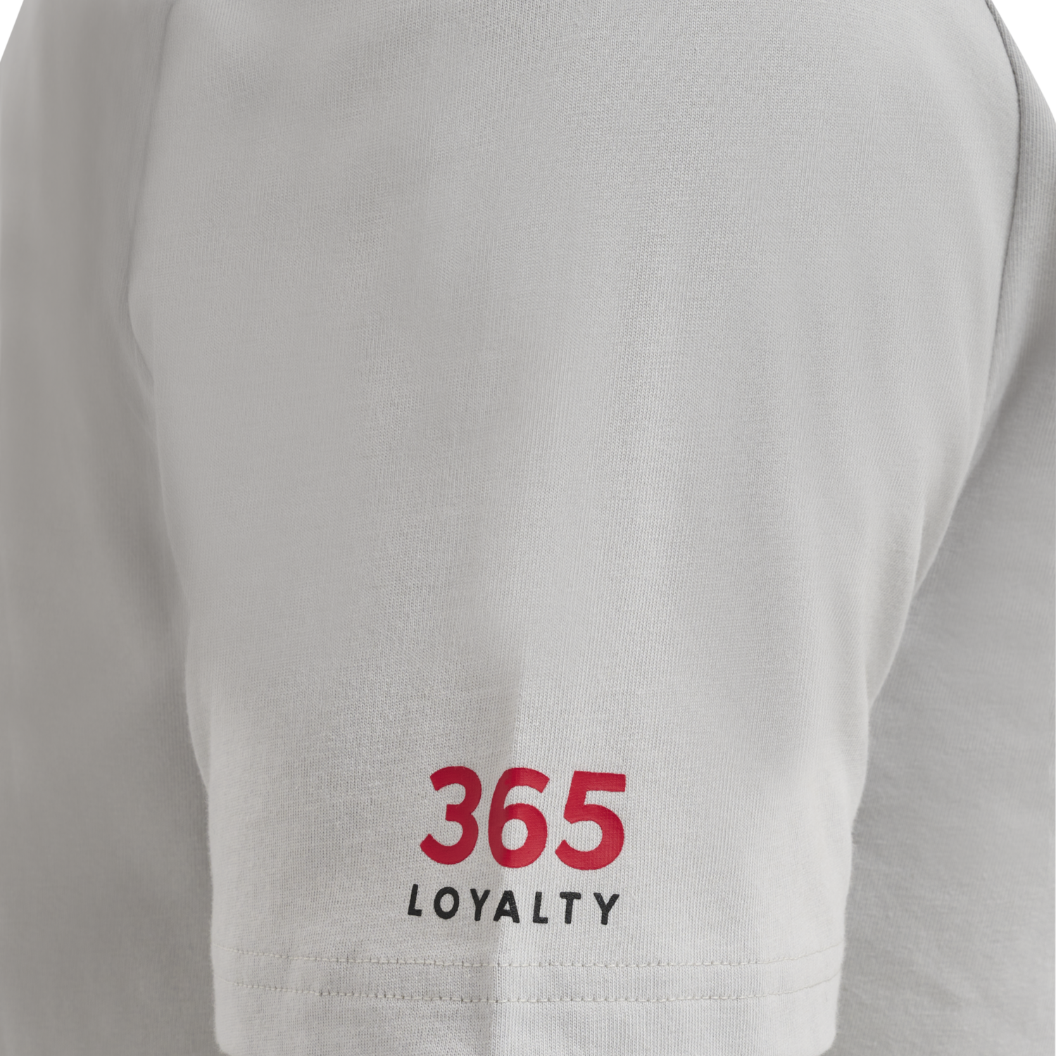 hmlLGC LOYALTY T-SHIRT, HARBOR MIST, packshot