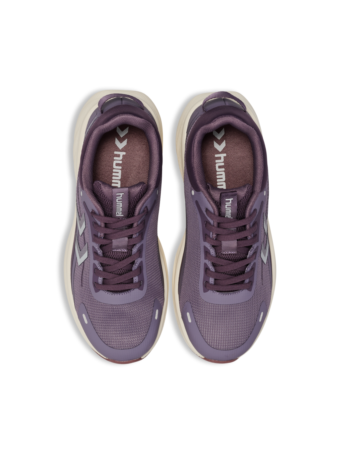 FOCUS 8000, GRAY RIDGE, packshot