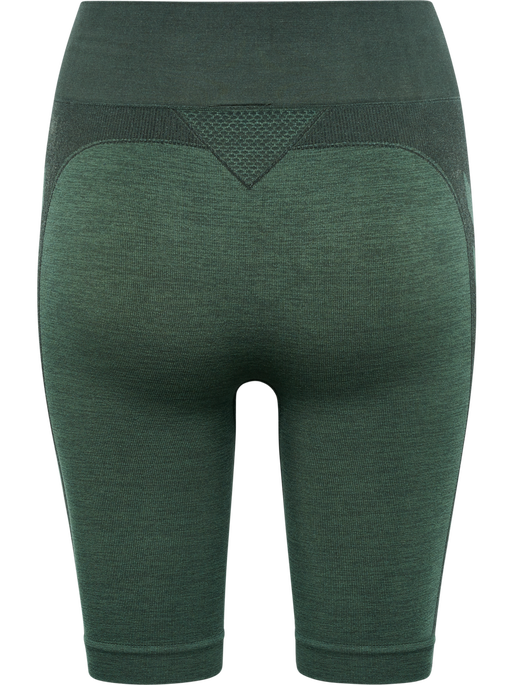 hmlCLEA SEAMLESS CYCLING SHORTS, CLIMBING IVY/BEETLE MELANGE, packshot