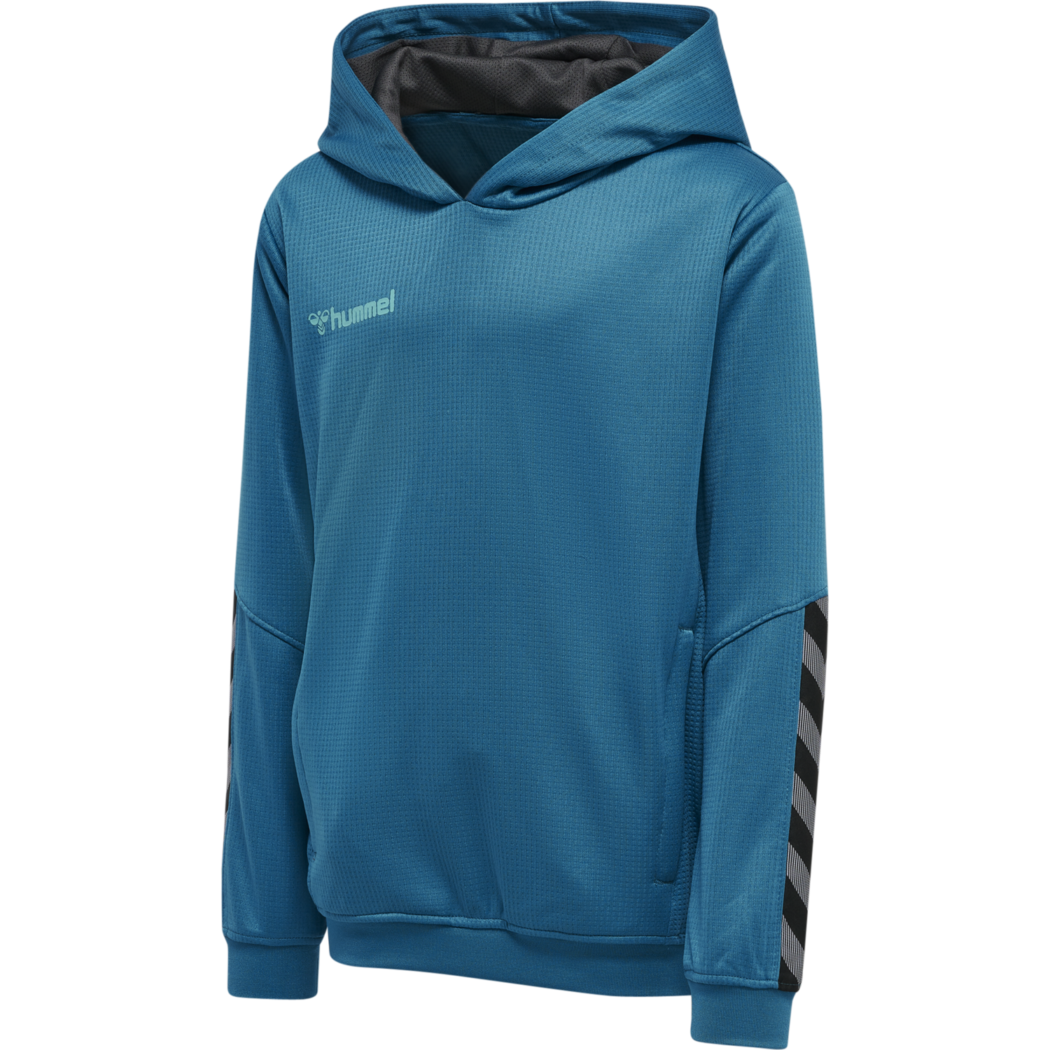 hmlAUTHENTIC KIDS POLY HOODIE, CELESTIAL, packshot