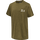 DARK OLIVE