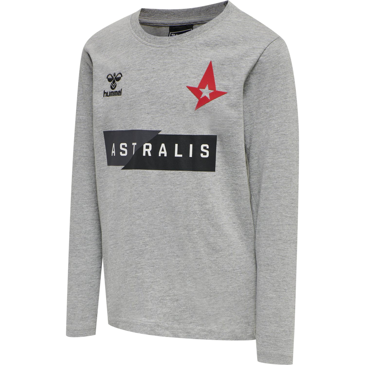 astralis sweatshirt