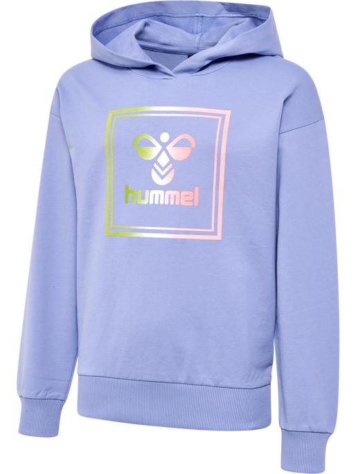 HMLLEIDEN HOODIE, 1049, packshot