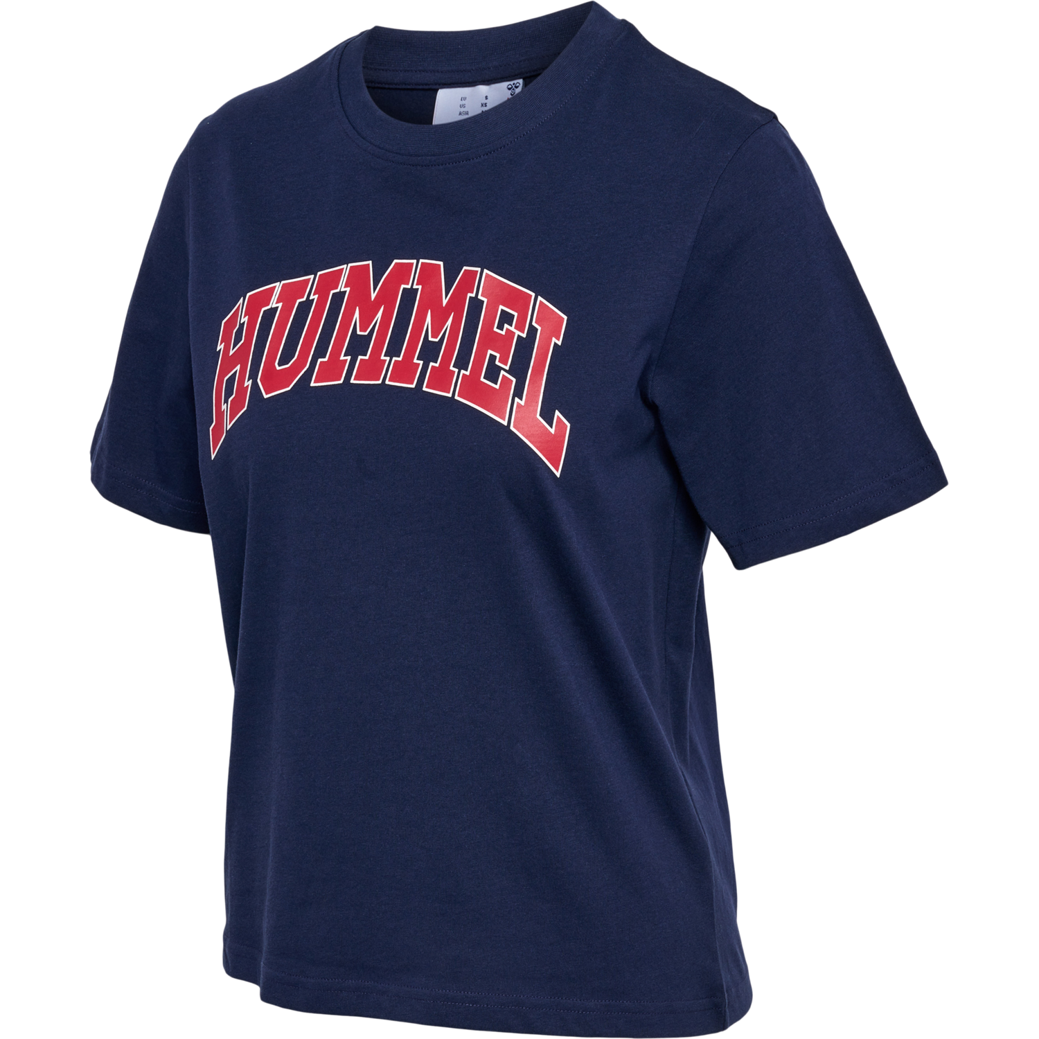 hmlIC GILL LOOSE T-SHIRT, 7666, packshot