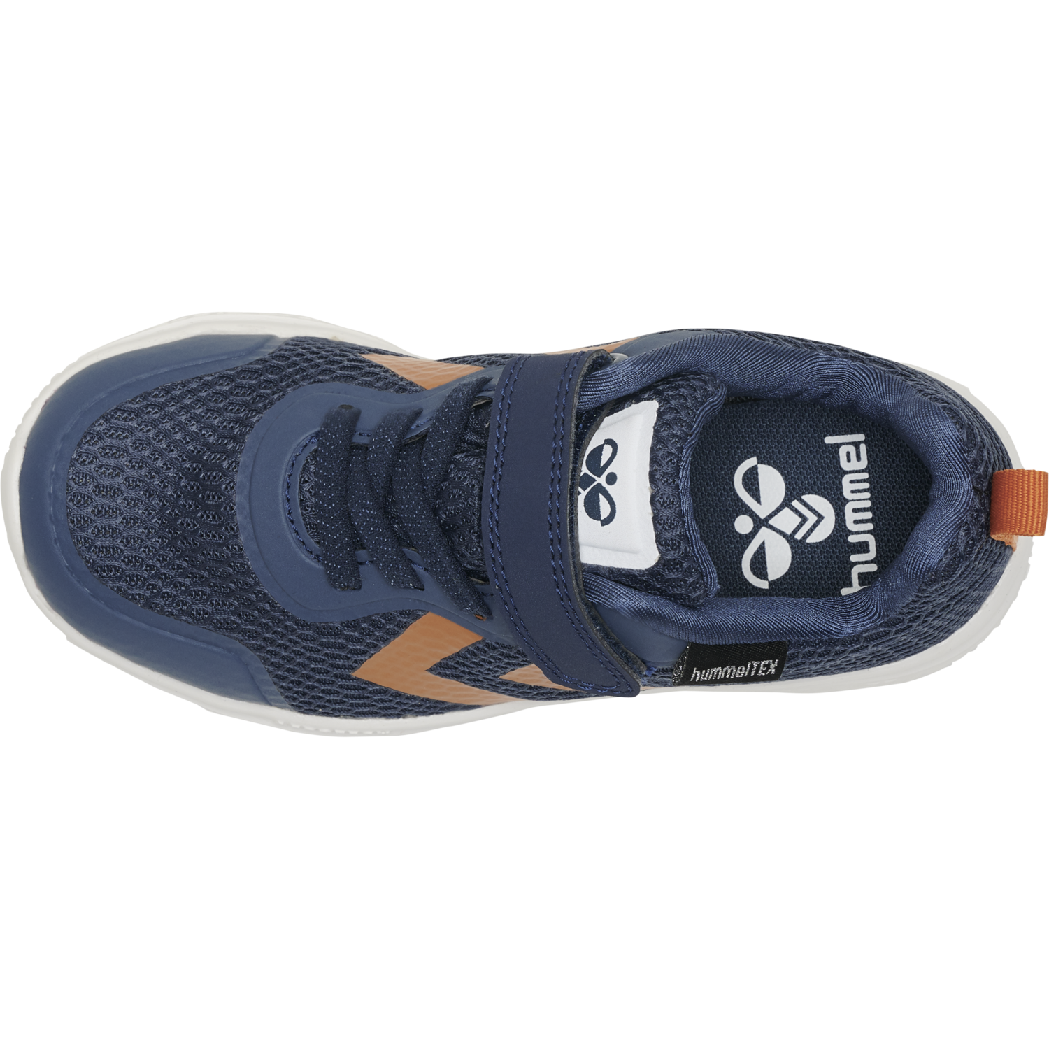 ACTUS TEX JR, BLACK IRIS, packshot