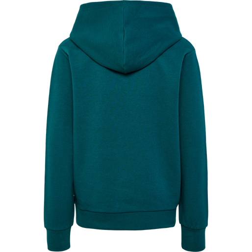 Plain teal hoodie best sale