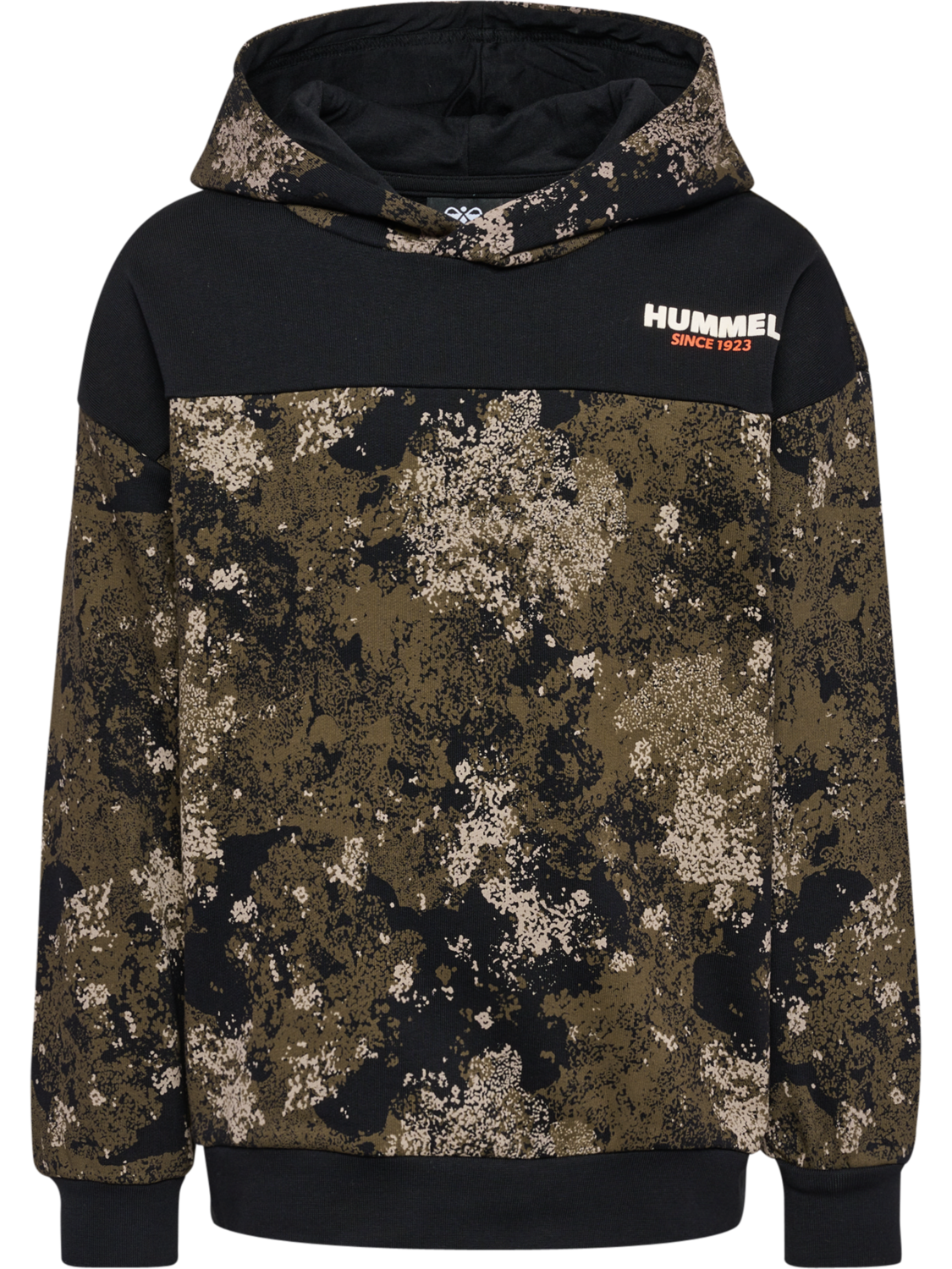 hmlAGGE HOODIE, 2001, packshot