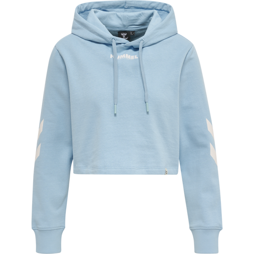 Cropped top hoodie blue