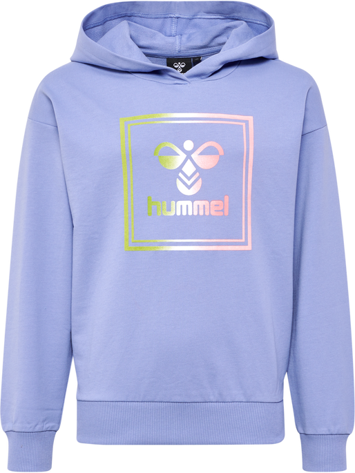HMLLEIDEN HOODIE, 1049, packshot