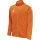 ORANGE TIGER