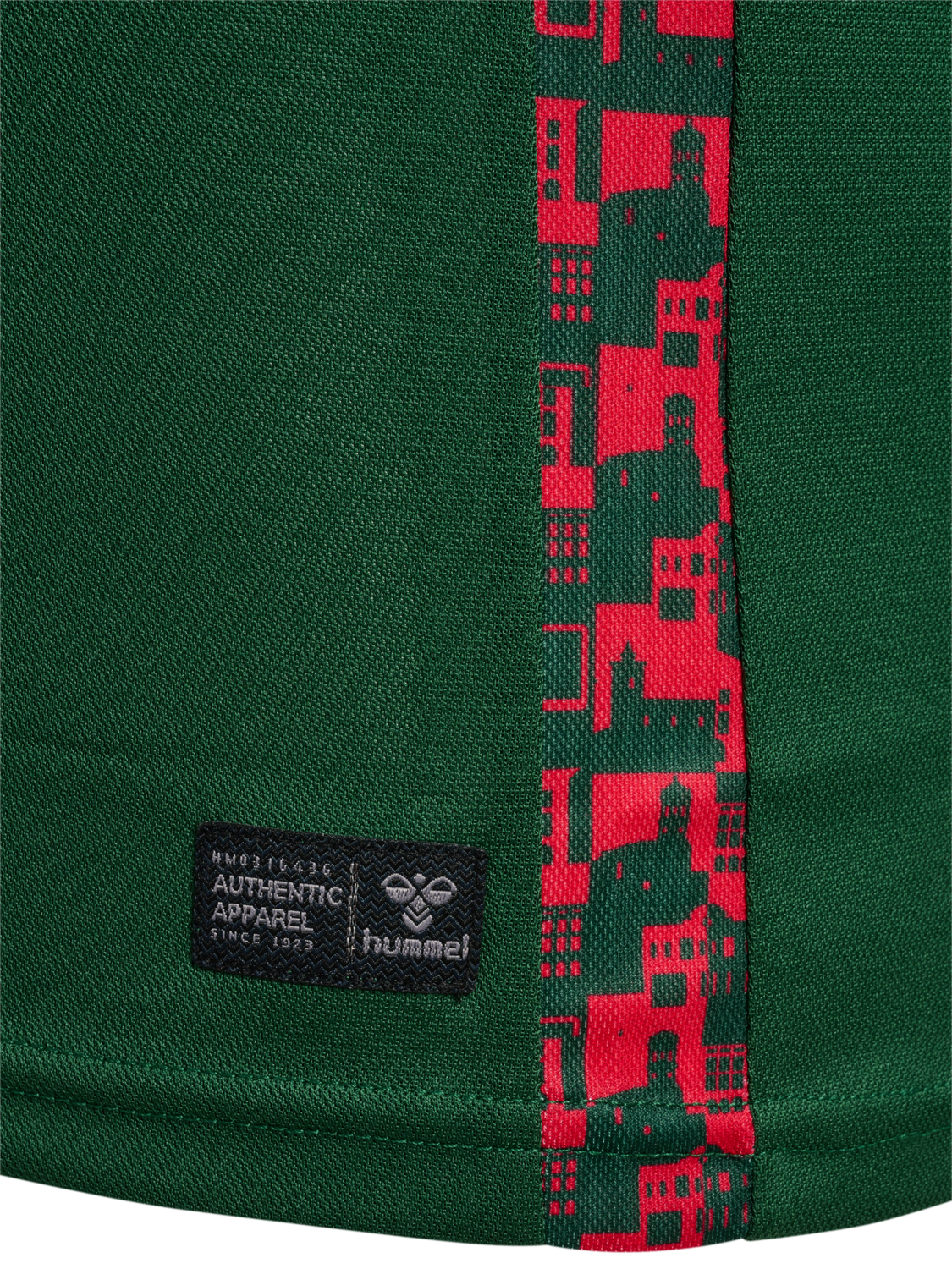 SDE 24/25 COMMUNITY JERSEY S/S, EDEN, packshot