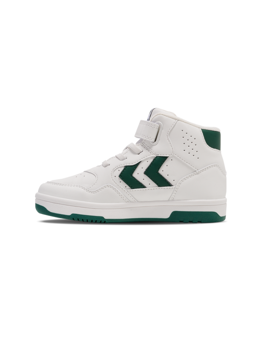 CAMDEN HIGH JR, GARDEN TOPIARY, packshot