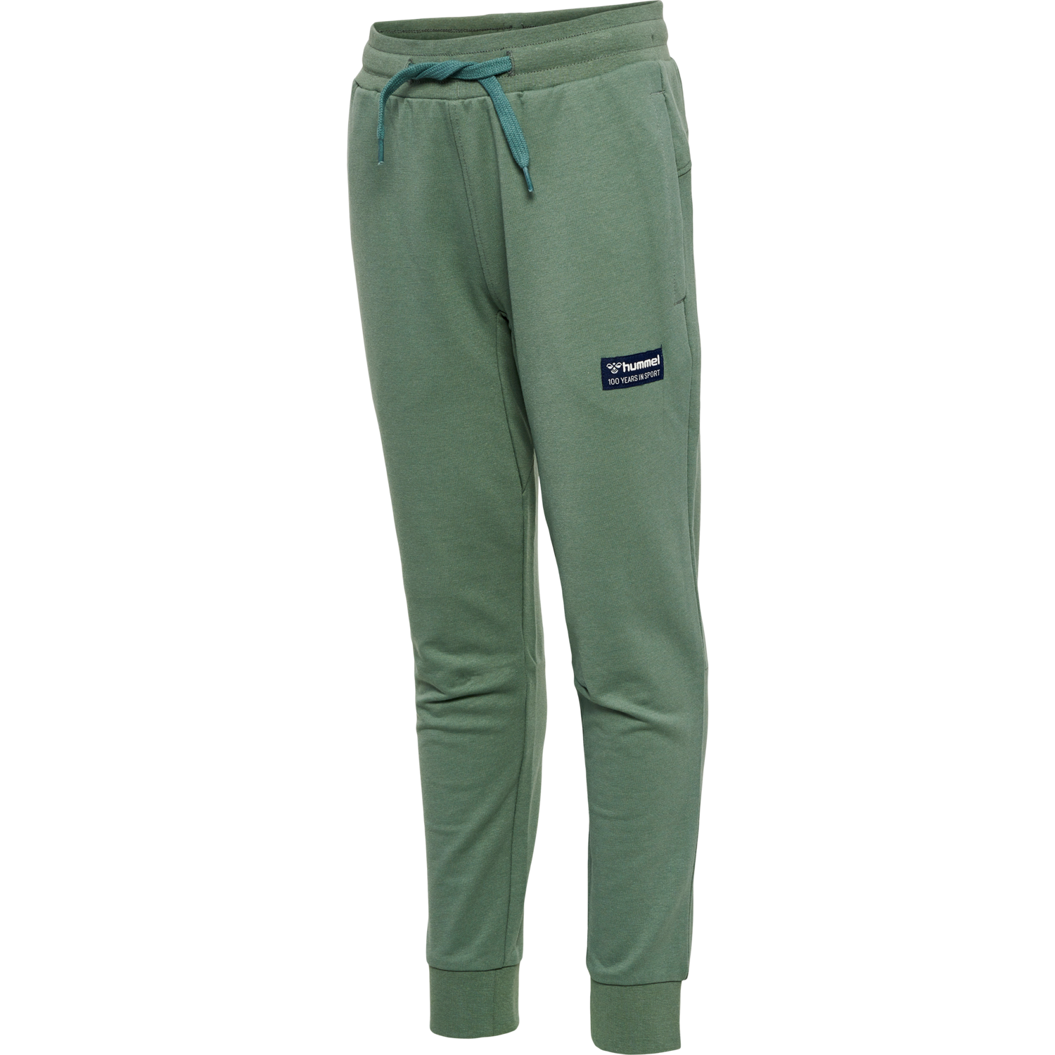 hmlEDDY PANTS, LAUREL WREATH, packshot