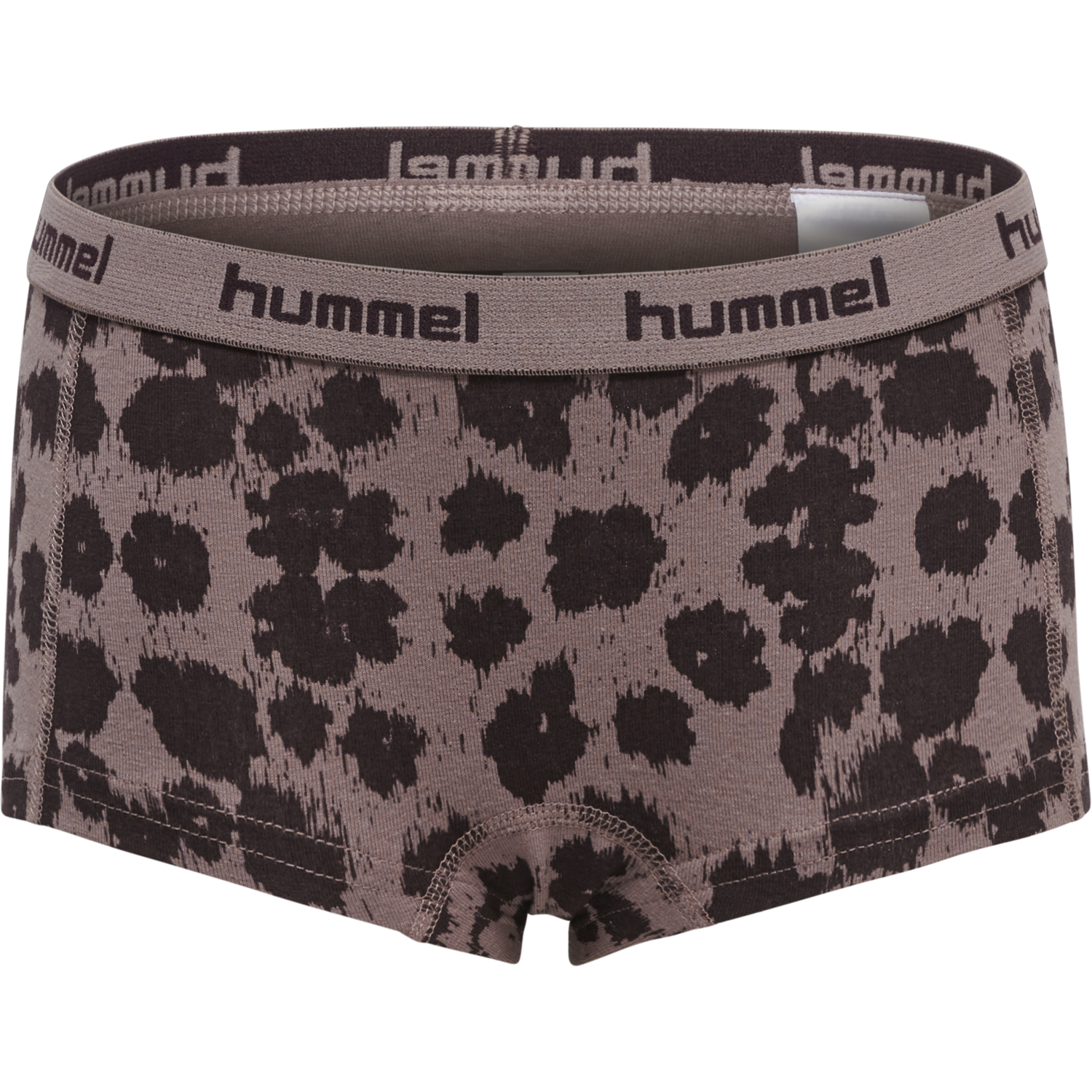 hmlCAROLINA HIPSTERS 2-PACK, 8016, packshot