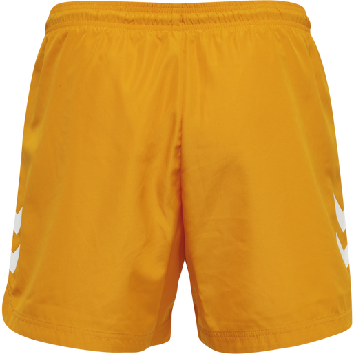 hmlAIKO SHORT BOARD SHORTS, DARK CHEDDAR, packshot