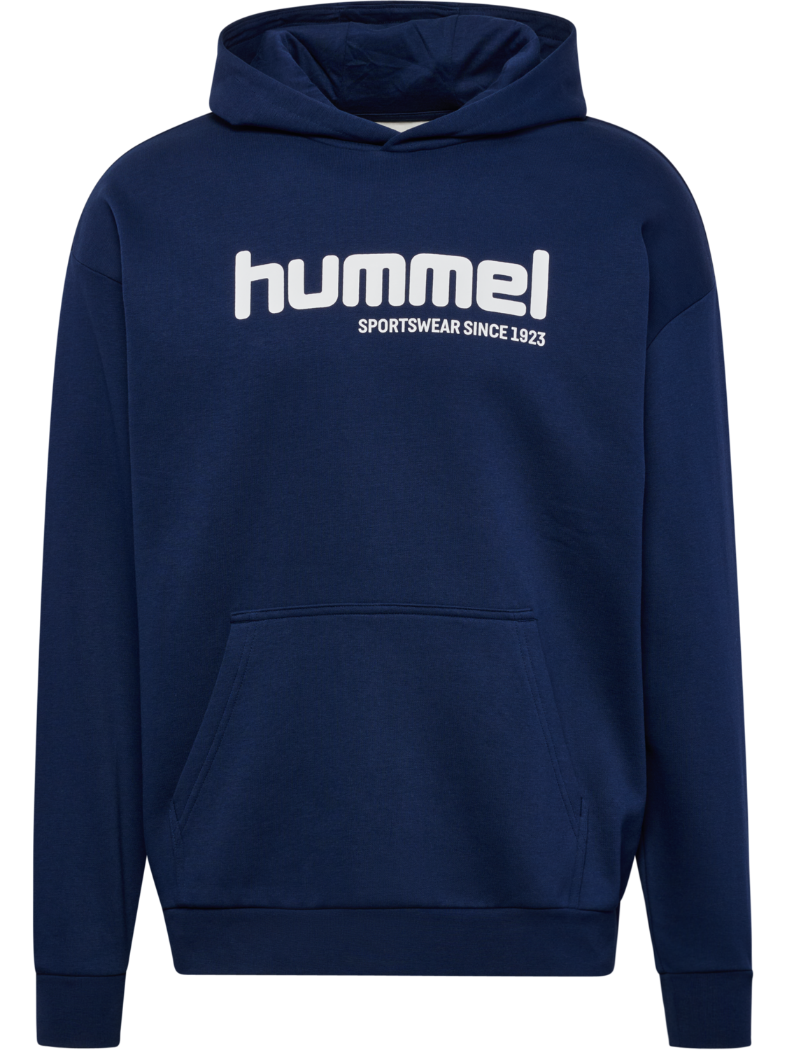 hmlSW GRAPHIC HOODIE, DRESS BLUES, packshot