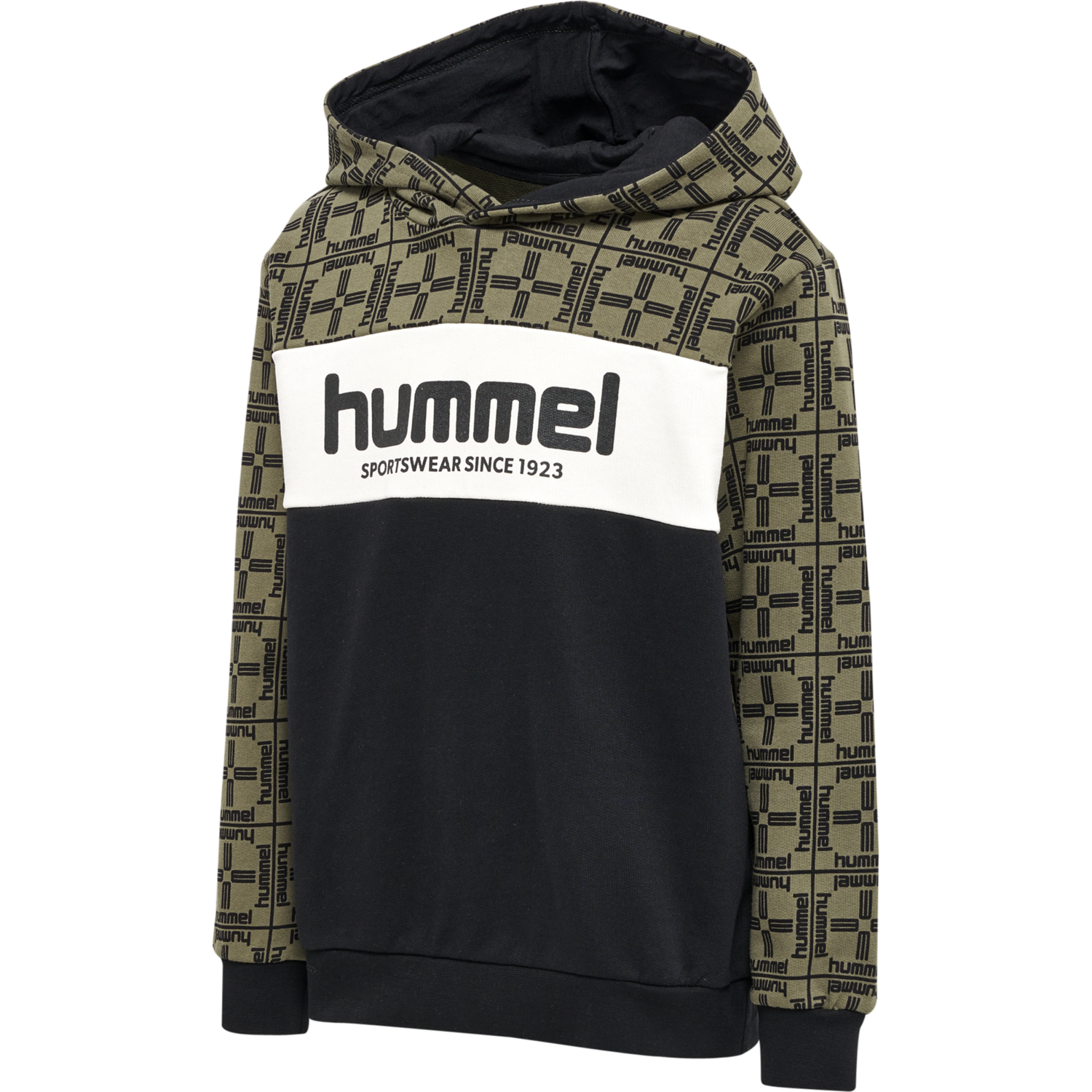 hmlCOLDEN HOODIE, 1929, packshot