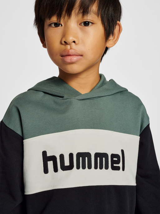 hmlMORTEN HOODIE, LAUREL WREATH, model