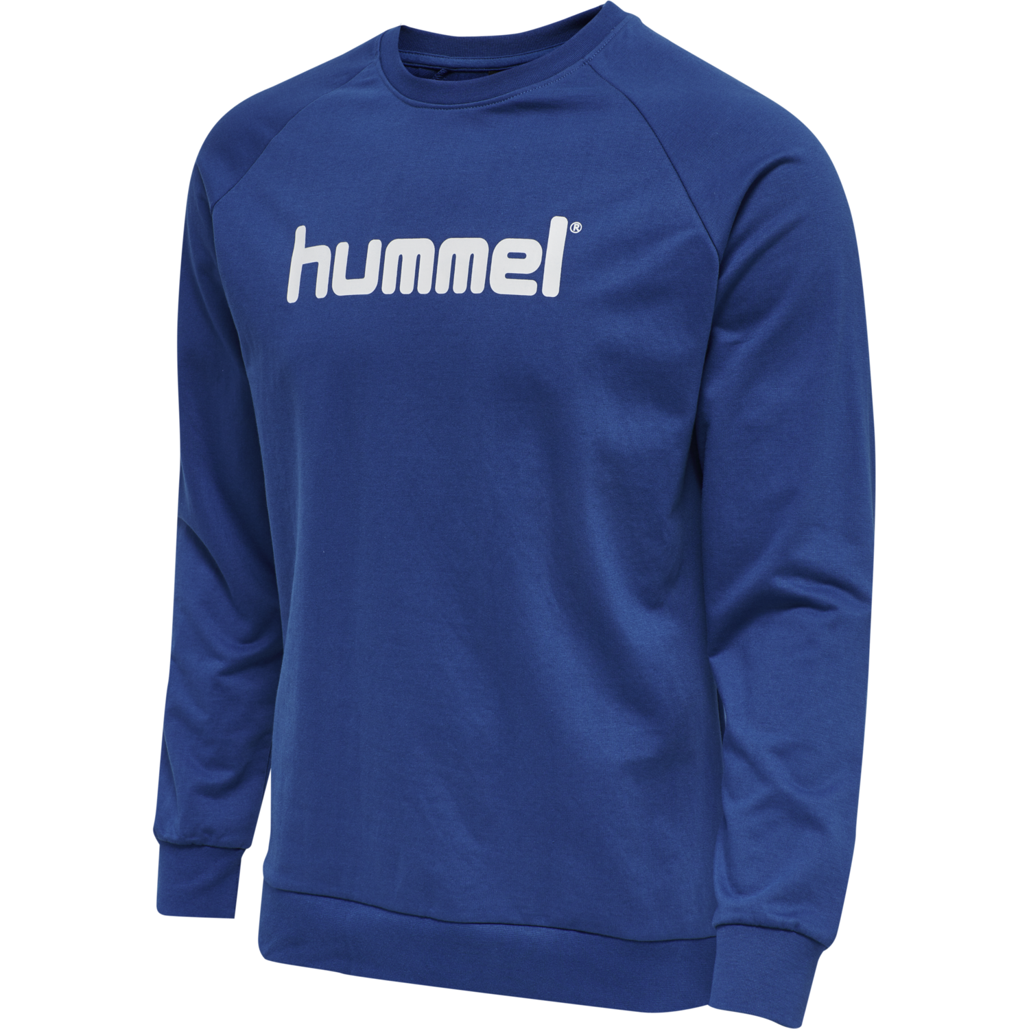 logo sweatshirt